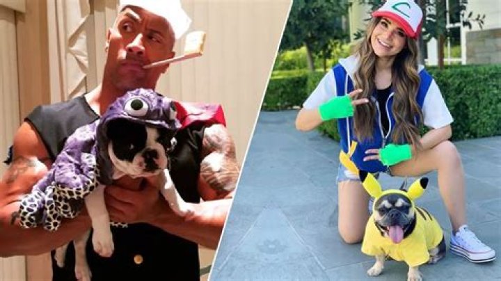 10 Celebrities Who Spend Thousands Spoiling Their Pets
