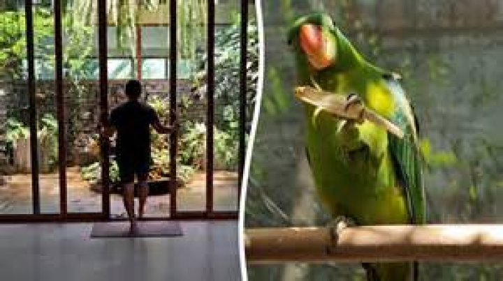 20 Other Things About His House And Lifestyle