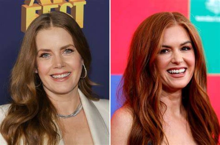 20 Times You Couldn't Tell Isla Fisher And Amy Adams Apart