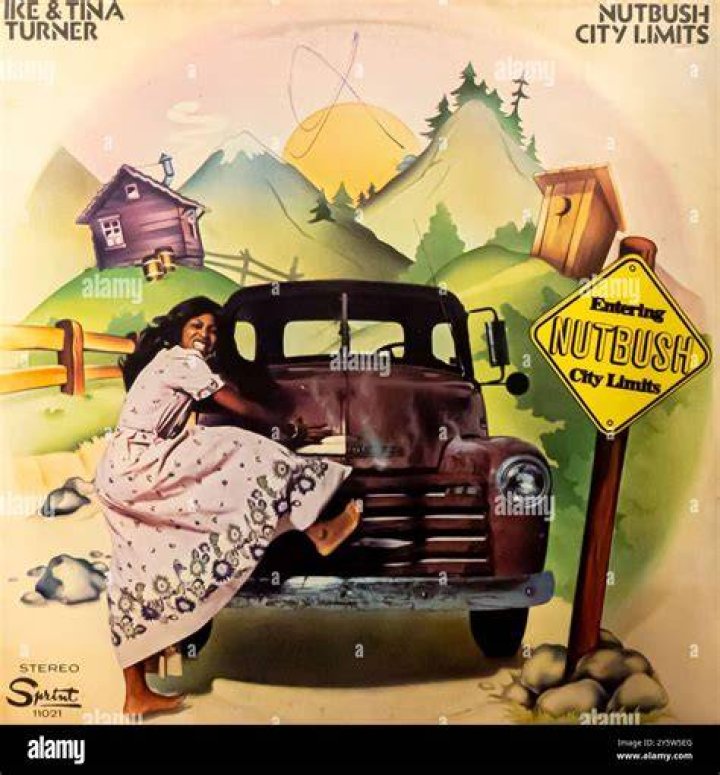 A Cover Image Of 1973