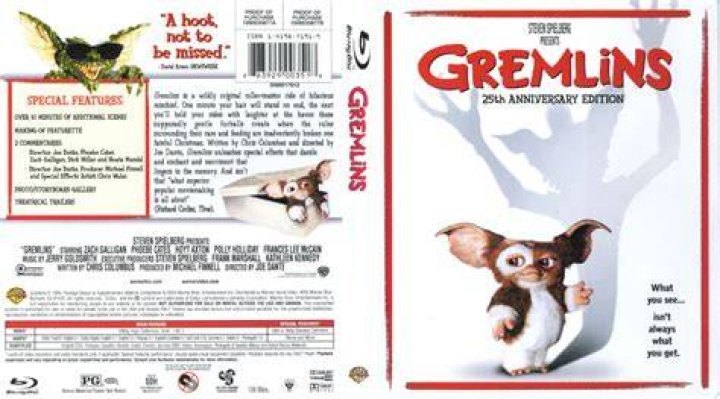 A Cover Picture Of Gremlins