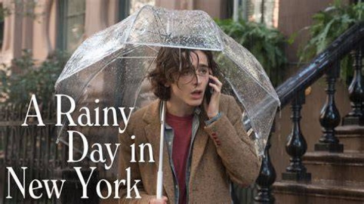 A Rainy Day in New York