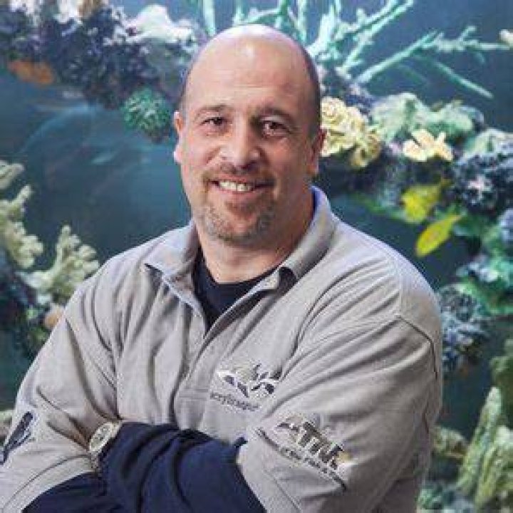 Brett Raymer Net Worth | TheRichest