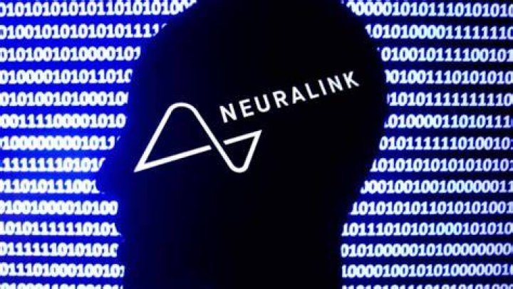 Elon Musk’s Neuralink Reportedly Under Federal Investigation for Alleged Animal Act Violations