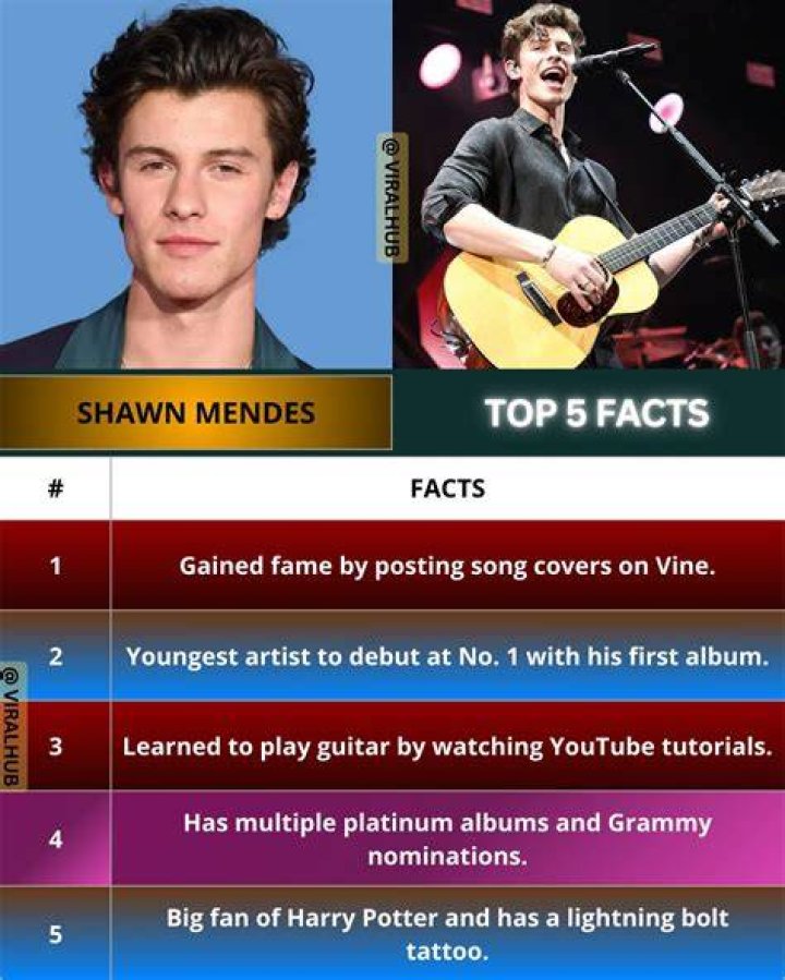 How Shawn Mendes Climbed The Vine To Fame & Fortune