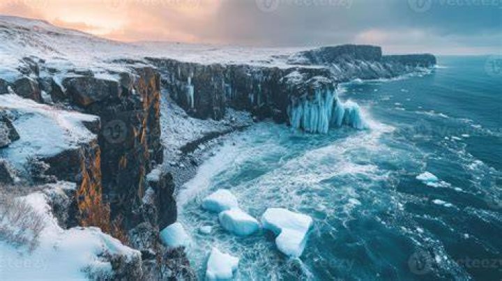 Image result for Iceland frozen food
