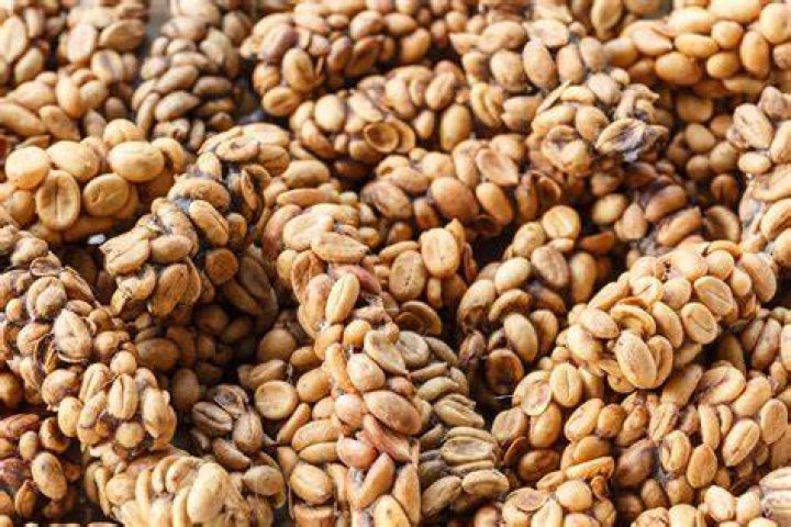 Most Expensive Coffees In The World
