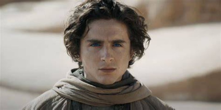Timothee Chalamet Movies