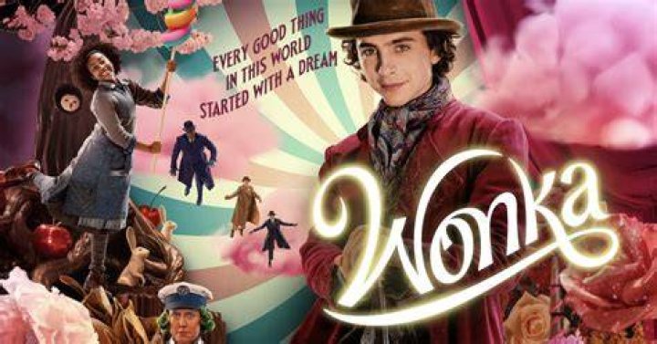 Wonka Cast Net Worth